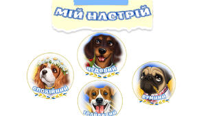 Мій настрій та осередки