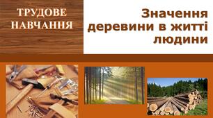 Значення деревини в житті людини