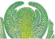 03014p9h-8e57-235x166.jpg