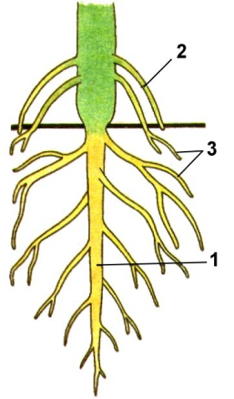 03014phb-2c5b-257x438.png