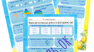 Вхідна діагностична робота 3 клас