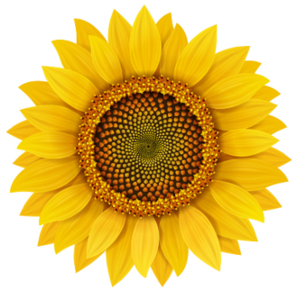 03014rkz-ca7c-329x322.png
