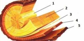 03014rm4-217e-280x138.jpg
