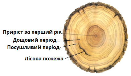 03014rm8-1bd3-425x248.png