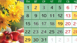 Чому Аркас?