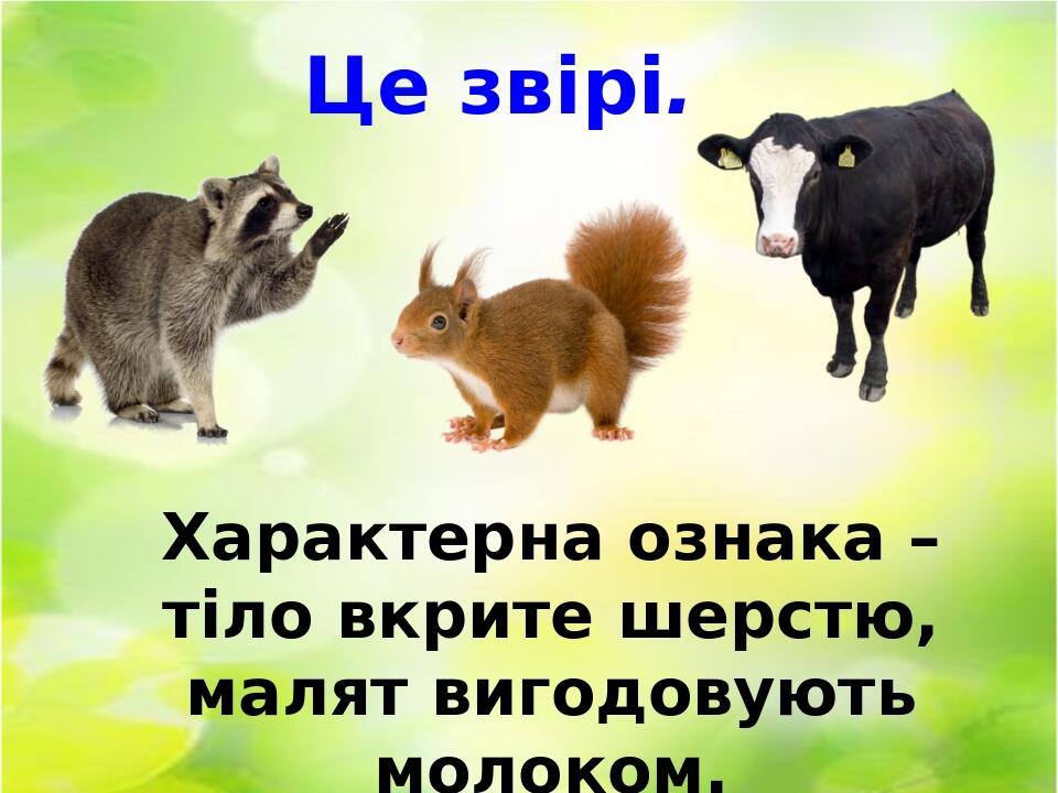 Презентація " Тварини в природі " до уроку Я досліджую світ ( 2 клас ...