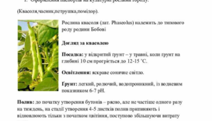 Оформлення паспортів на культурні рослини городу