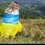 Альошина Анастасія Олексіївна