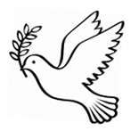 03014ymc-03d5-147x147.png