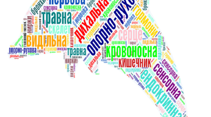Хмаринка слів з біології 7 клас
