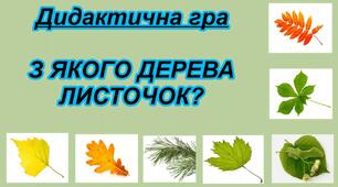 Дидактична гра " З якого дерева листочок?"