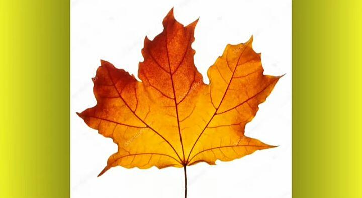 030155ee-1555-720x395.jpg
