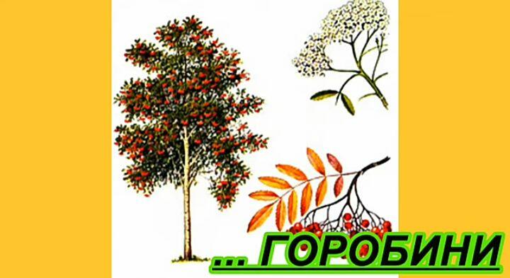 030155gj-6d3b-720x393.jpg