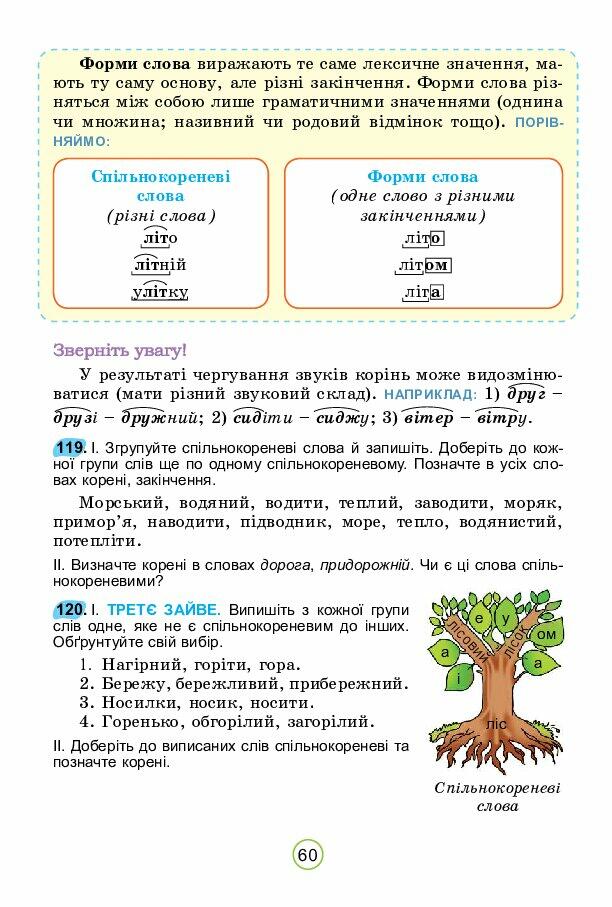 Підручник 5 клас НУШ автор Заболотний | . Українська мова