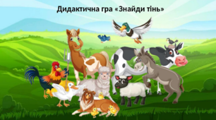 Дидактична гра «Знайди тінь»