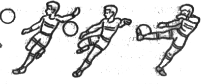 03015eis-f259-407x166.png
