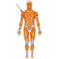 03015f1u-a06a-400x400.png