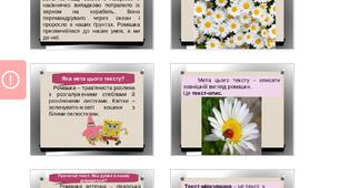 Презентація "Мета тексту. Типи текстів"