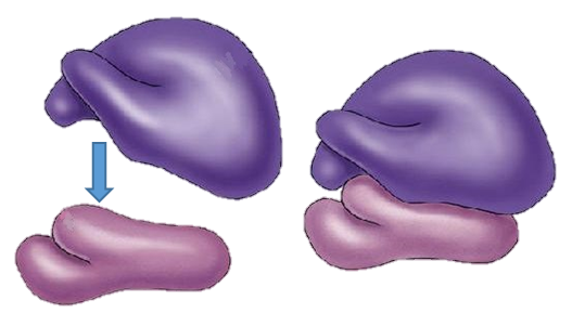 03015ipl-98cb-527x301.png