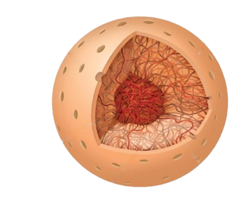 03015ipn-44cb-503x430.png