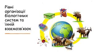 Презентація до уроку на тему :Рівні організації біологічних систем та їхній взаємозв’язок