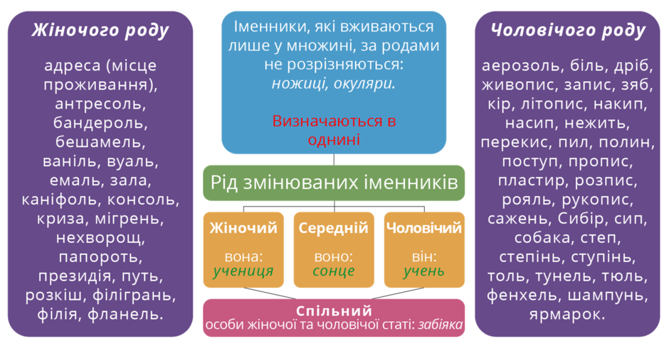 Іменники мають. Рід іменників. Іменники жіночого роду. Іменники чоловічого роду. Рід іменників таблиця.