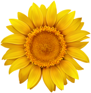 03015lcv-2e0a-300x306.png