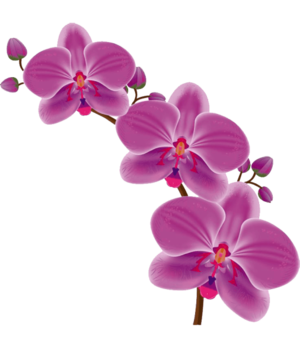 03015ld7-8049-300x356.png