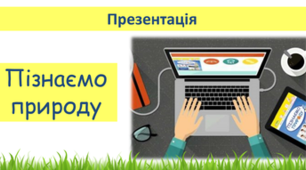 Презентація "Що таке розчинні та нерозчинні речовини" 5 клас НУШ