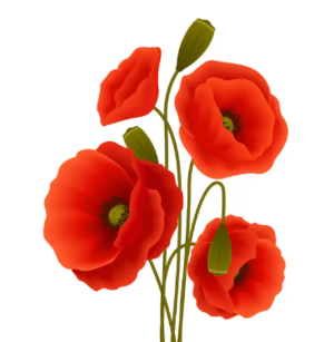03015le7-0df5-300x307.png
