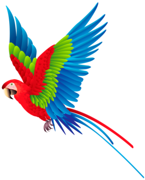 03015lfi-2504-300x373.png