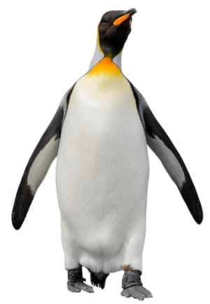 03015lfn-ab2e-300x434.png