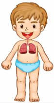 03015mzd-9da0-111x212.png