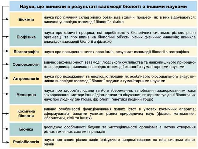 03015p0w-3d31-651x492.jpg
