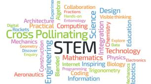 STEM Вступ. Від STEM- проєкту до професії твого життя. 5 клас
