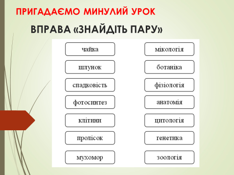 03015pcu-b93b-480x360.png