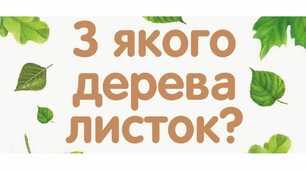З якого дерева листочок ?