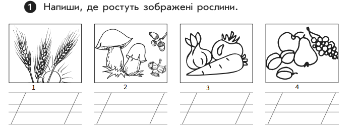 03015sxw-4763-712x264.png