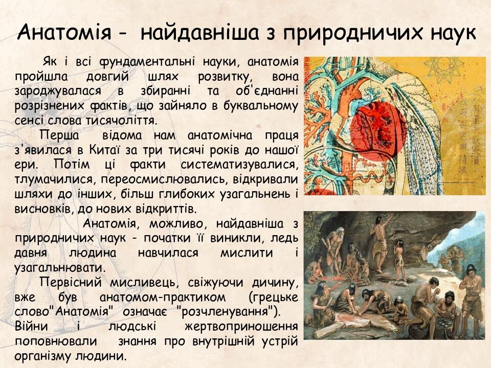Анатомія - найдавніша з природничих наук Як і всі фундаментальні науки, анатомія пройшла довгий шлях розвитку, вона зароджувалася в збиранні та об'...