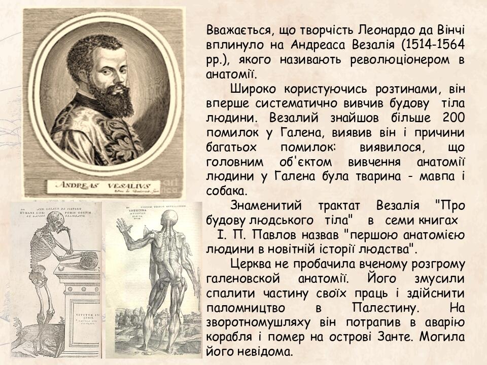Вважається, що творчість Леонардо да Вінчі вплинуло на Андреаса Везалія (1514-1564 рр.), якого називають революціонером в анатомії. Широко користую...