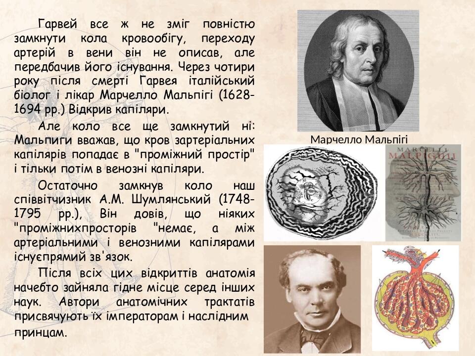 Гарвей все ж не зміг повністю замкнути кола кровообігу, переходу артерій в вени він не описав, але передбачив його існування. Через чотири року піс...