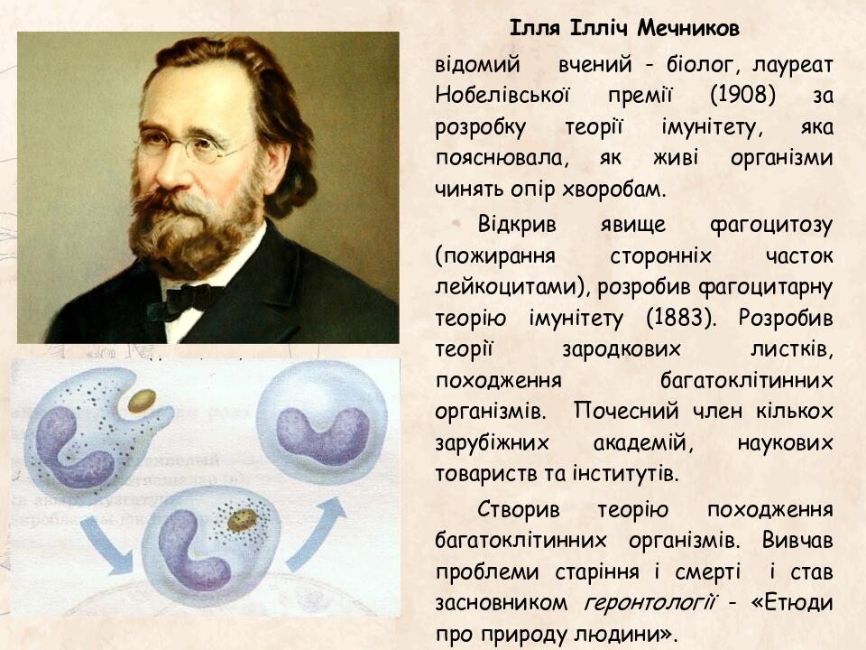 Ілля Ілліч Мечников відомий вчений - біолог, лауреат Нобелівської премії (1908) за розробку теорії імунітету, яка пояснювала, як живі організми чин...