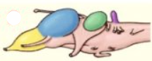 030160gx-8179-215x87.png