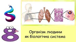 Організм людини як біологічна система