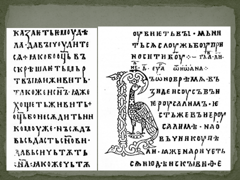 03016cpx-d289-480x360.png