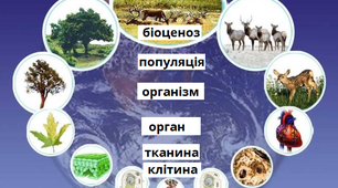 Вступ