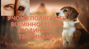 У чому полягають відмінності між людиною і тваринами?