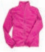 03016plc-fc9f-172x200.png