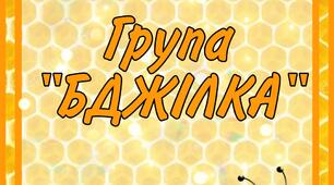 Оформлення групи "БДЖІЛКА" для дітей