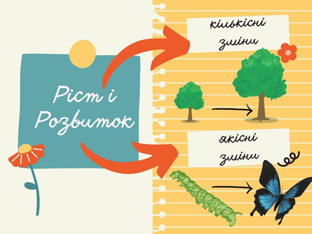 Презентація "Біологія як наука" | Презентація. Біологія